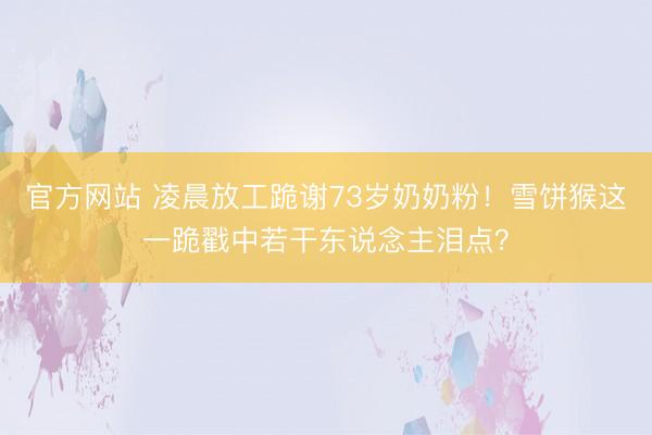 官方网站 凌晨放工跪谢73岁奶奶粉！雪饼猴这一跪戳中若干东说念主泪点？