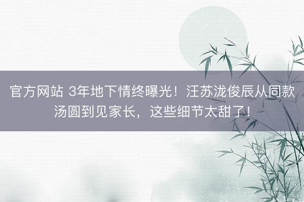 官方网站 3年地下情终曝光！汪苏泷俊辰从同款汤圆到见家长，这些细节太甜了！