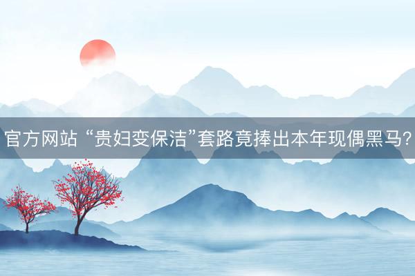 官方网站 “贵妇变保洁”套路竟捧出本年现偶黑马？