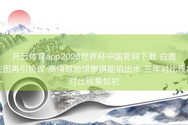 开云体育app2026世界杯中国官网下载 白鹿红毯生图再引热议 高清怼脸照嫩得能掐出水 三年对比现象如初