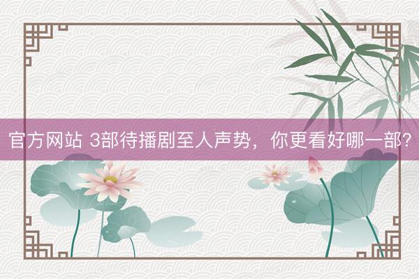 官方网站 3部待播剧至人声势,你更看好哪一部?