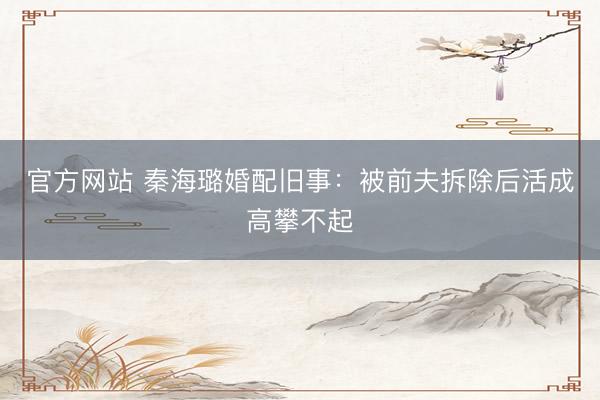 官方网站 秦海璐婚配旧事：被前夫拆除后活成高攀不起