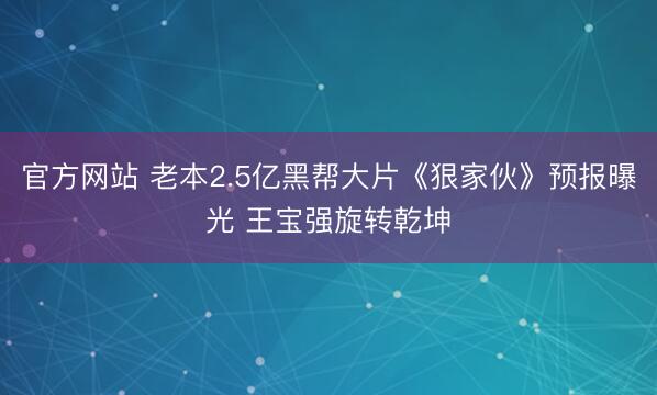 官方网站 老本2.5亿黑帮大片《狠家伙》预报曝光 王宝强旋转乾坤