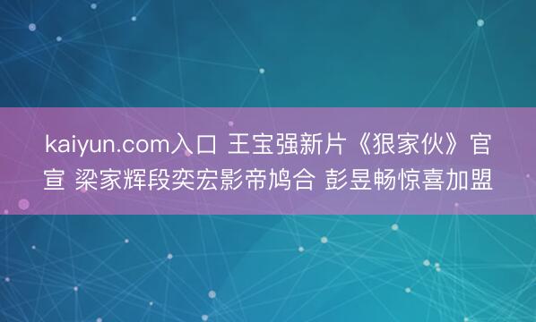 kaiyun.com入口 王宝强新片《狠家伙》官宣 梁家辉段奕宏影帝鸠合 彭昱畅惊喜加盟